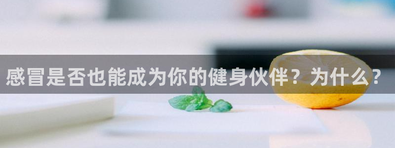 龙8国际登陆