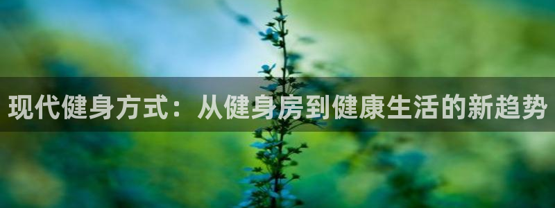 龙八国际娱乐网页多少