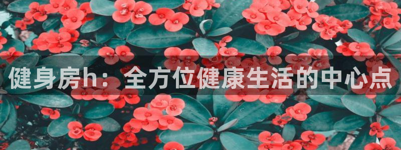 龙8国际老虎机官网