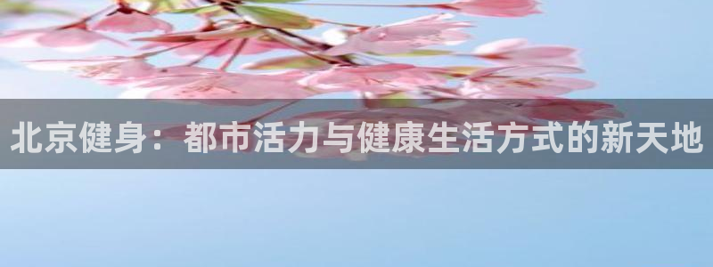 龙8国际long8
