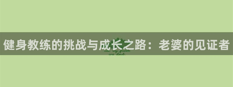 龙八国际娱乐网页多少