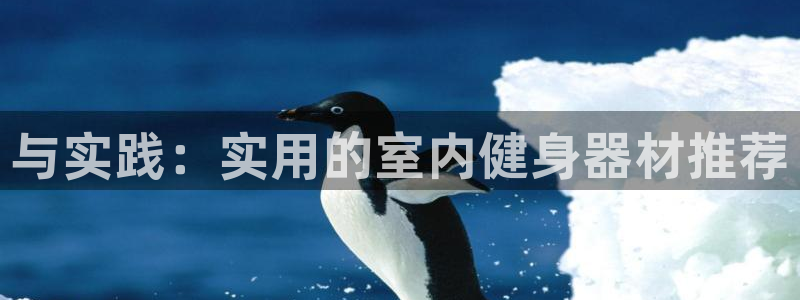 国际龙8官网pt客户端