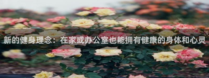 龙8国际线上