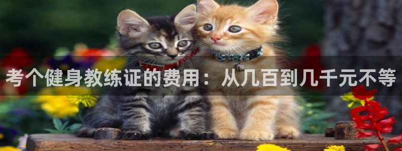 龙8国际官网-手机点此进入