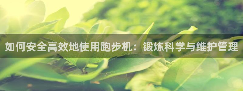 龙8国际网址