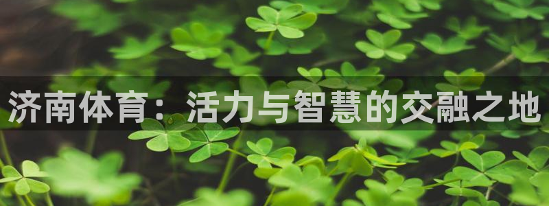 龙8国际头号玩家下载