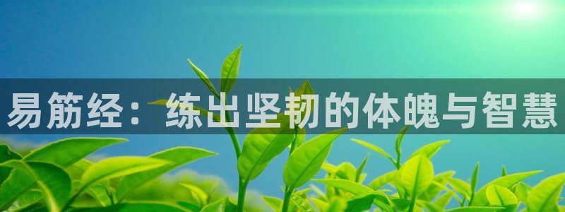 龙8国际官网首页