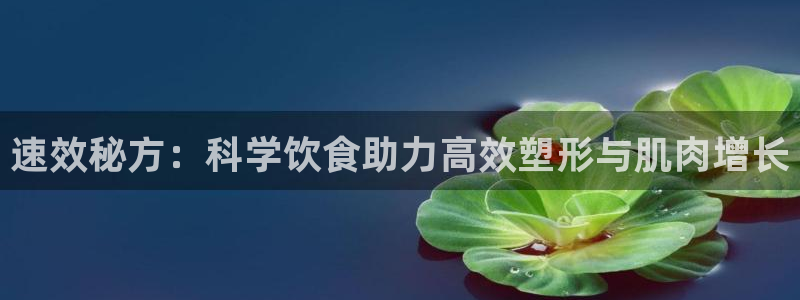 龙8国际手机登录|欢迎您的到来!