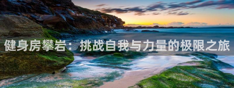 龙8国际2020官方网站