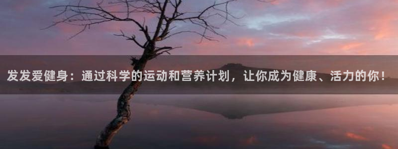 龙8国际app下载安装