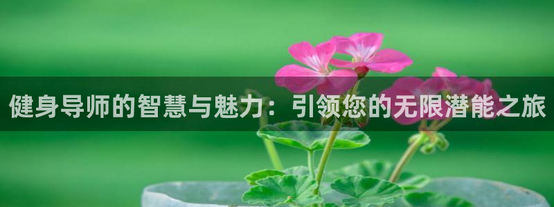 龙8app 国际