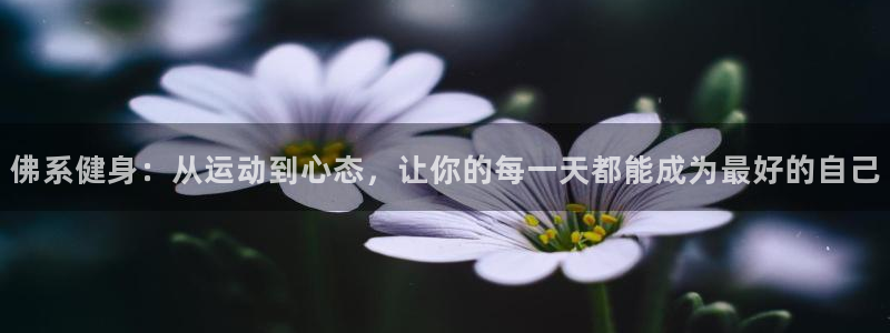 龙8国际网站怎么样