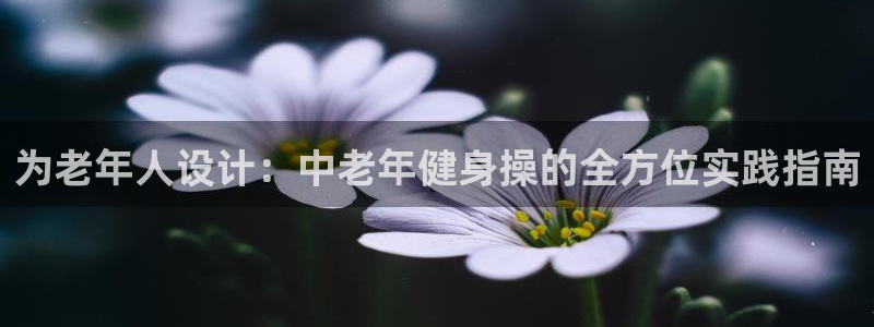 龙8国际long8龙8游戏