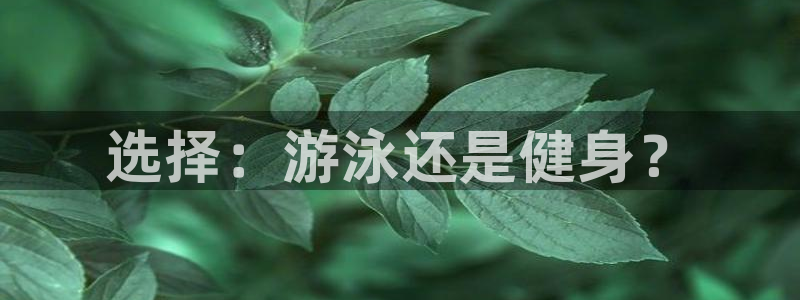 龙8国际试玩
