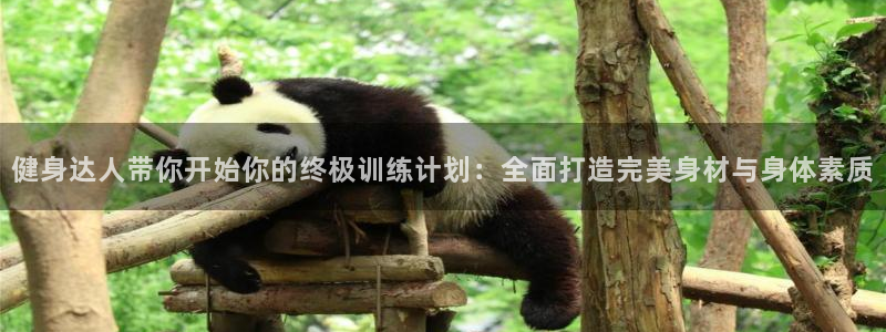 龙八国际登录入口