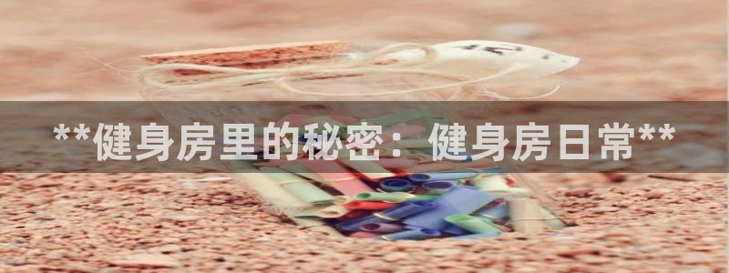 龙8国际唯一官网登录口