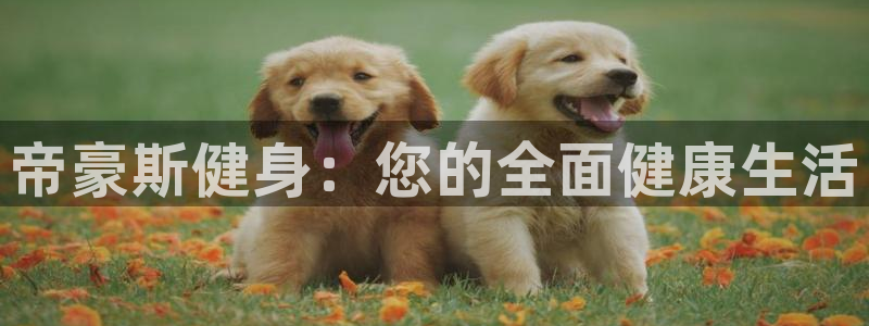 龙8国际官方网页