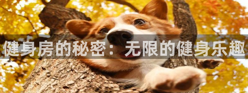 龙8国际平台官网