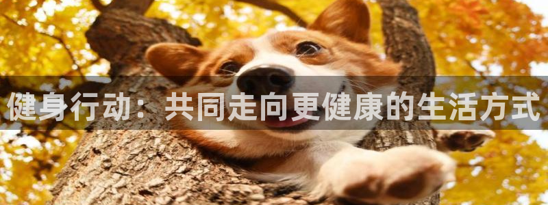 龙八国际2018最新官网