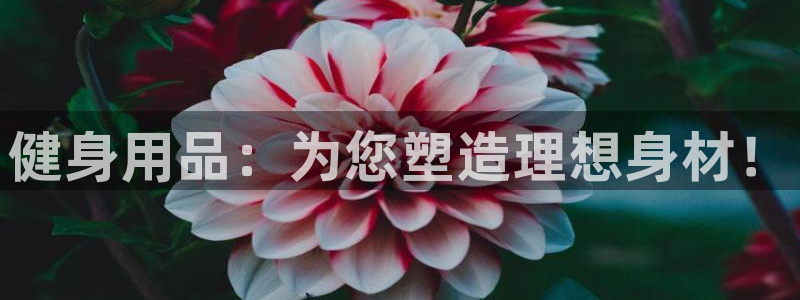 龙8国际long8龙8游戏