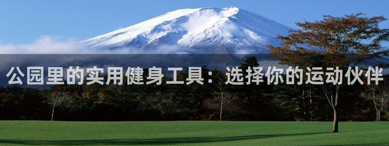 龙8国际app下载安装