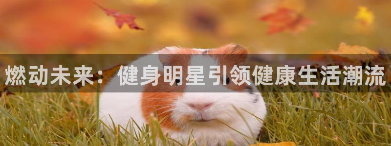 龙8国际官网唯一入口