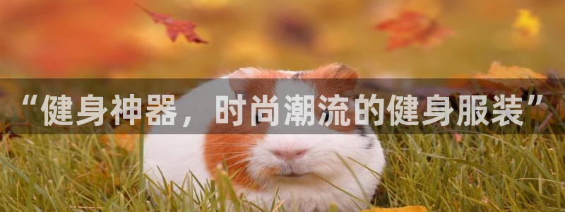 下载龙八国际官网