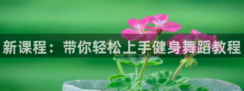 龙8游戏平台官方