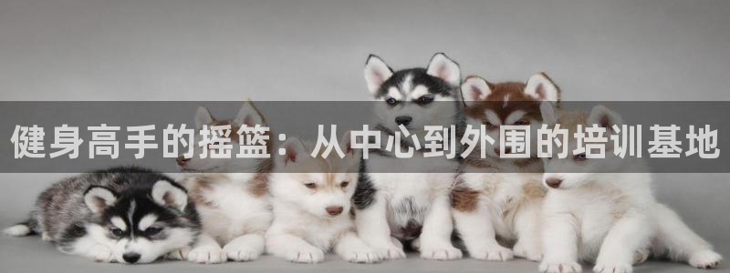 龙八国际服官网入口