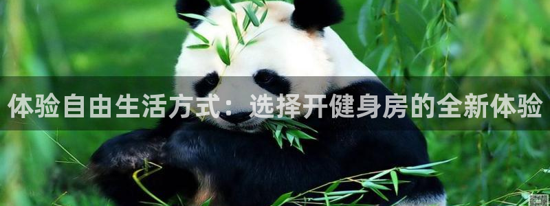 龙8老虎机手机版