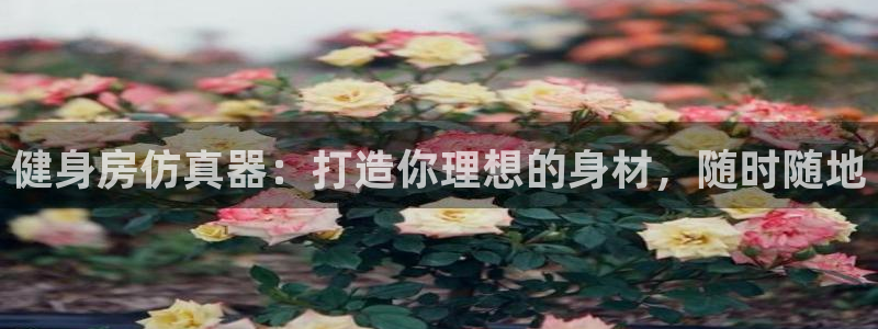 龙8国际是真的吗