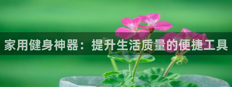 龙8国际平台输了多少