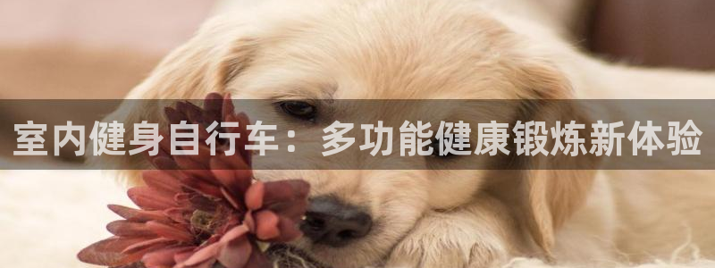 龙8国际手机官网下载