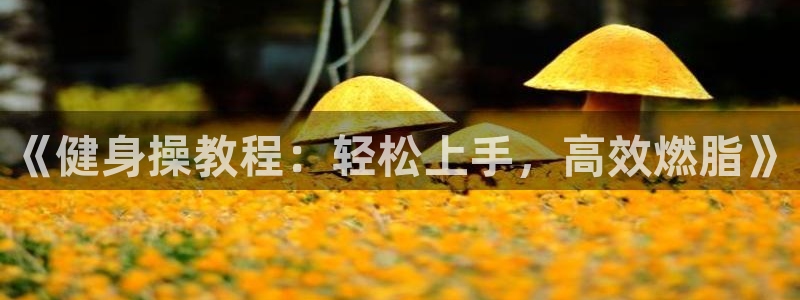 龙八国际app客户端下载不了