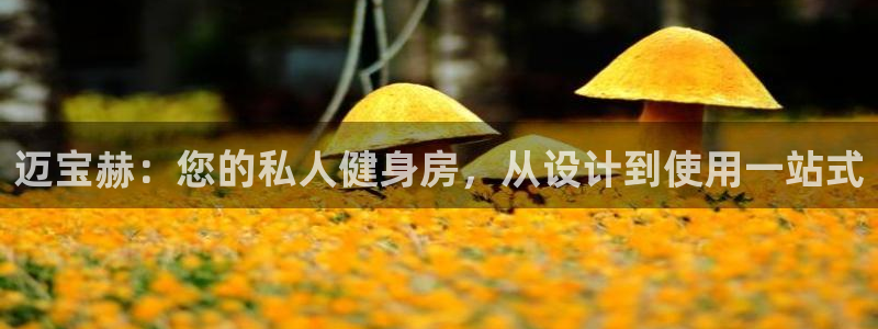 龙8国际电子游戏