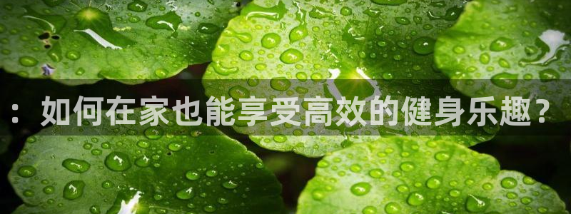 龙8国际现金