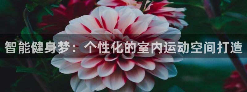 龙8国际黑钱