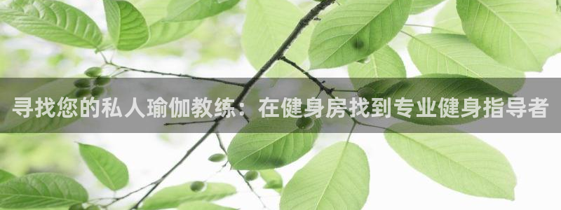 龙8国际官网娱乐