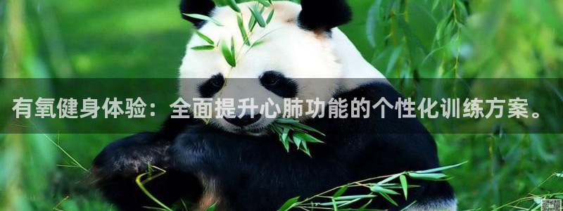 龙8国际为啥改名叫头号玩家了呢
