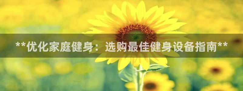 国际龙8官方网站