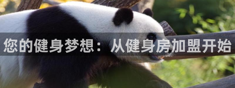 龙8国际游戏官网