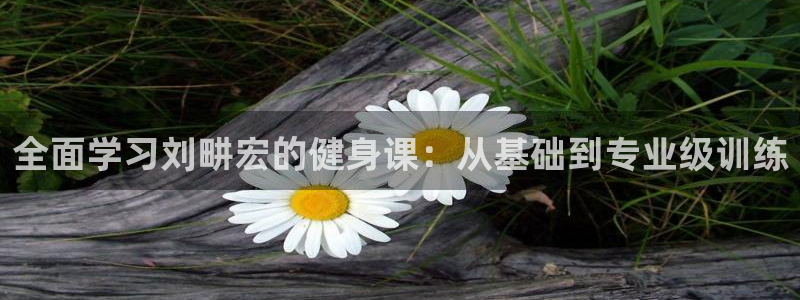 龙8国际电子平台