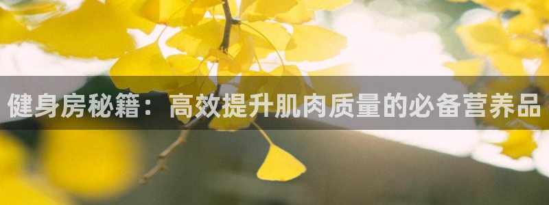 龙8国际唯一官网手游登录入口